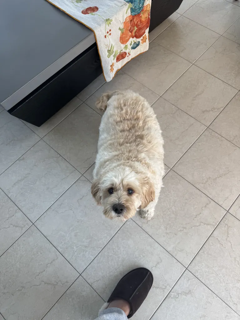 1779063984683 mde16u IMG 2443