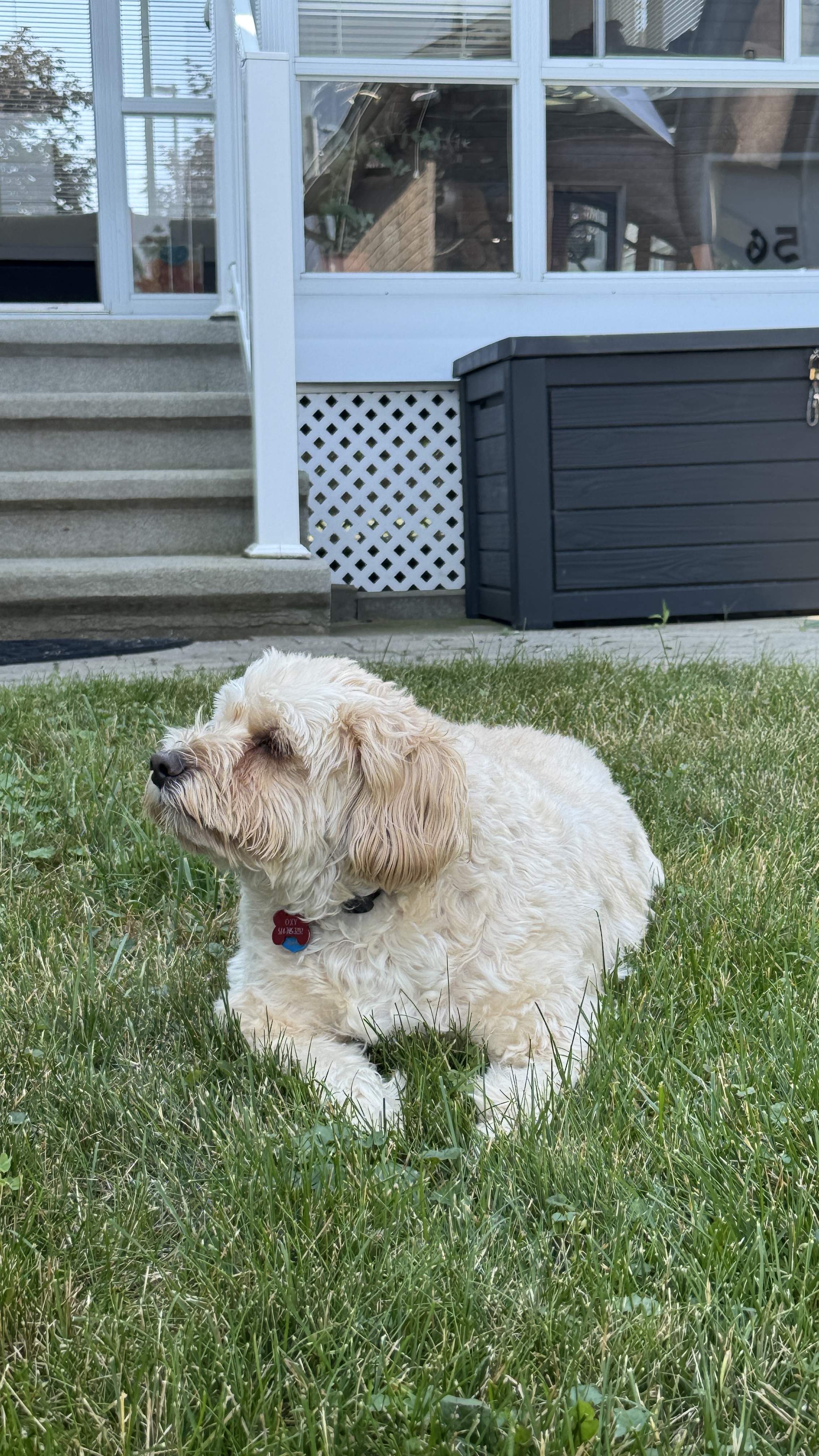 1779063988838 g14bgb IMG 5767
