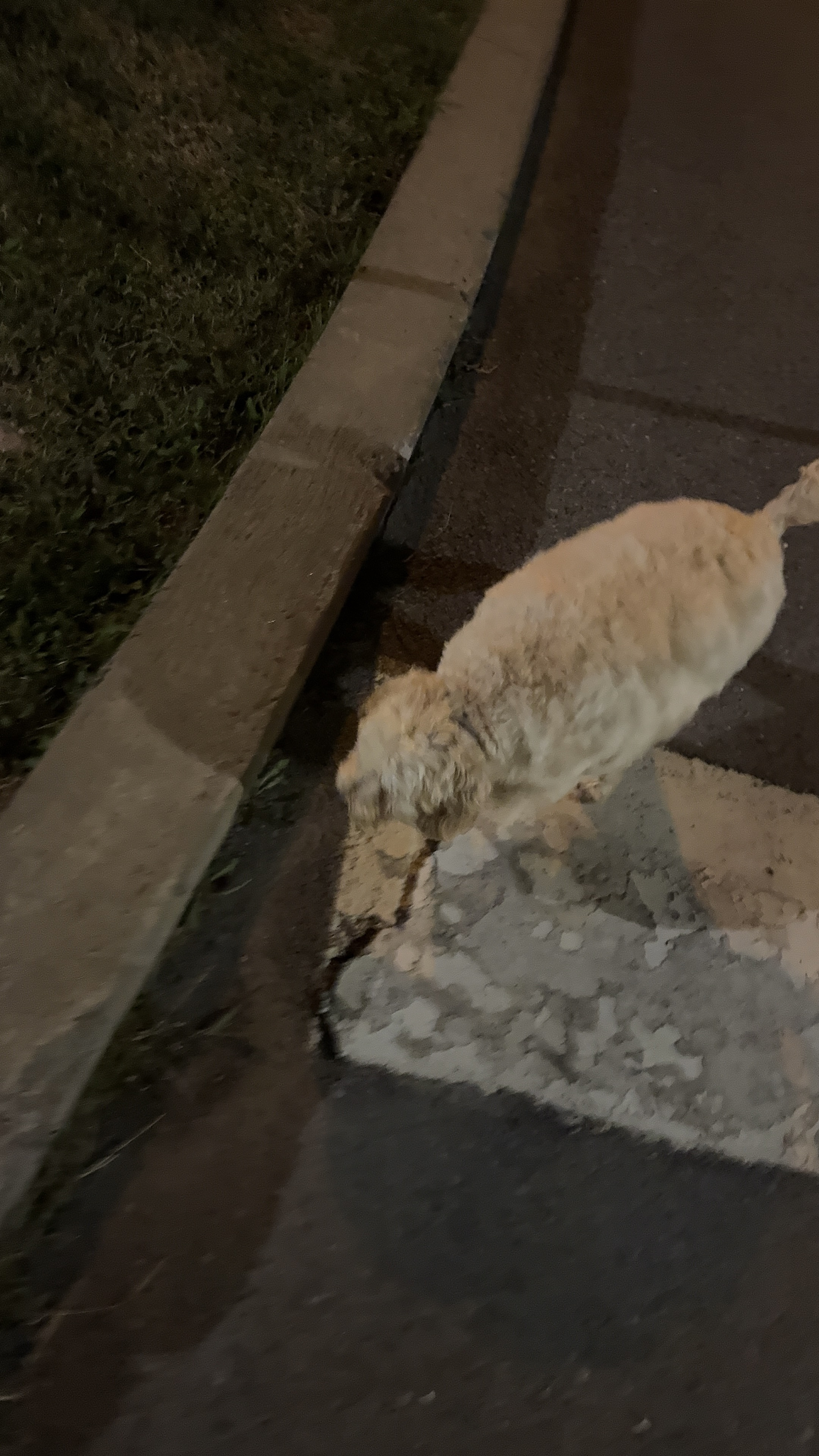 1779063996802 0l6ycz IMG 4615 1 