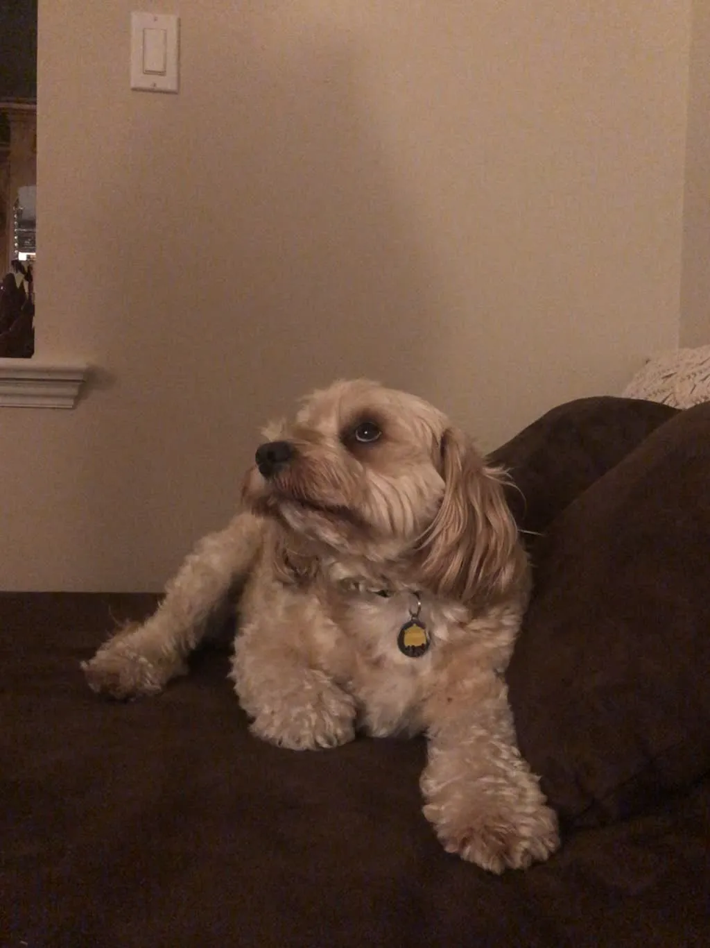 1779063998107 glz4x1 IMG 4110