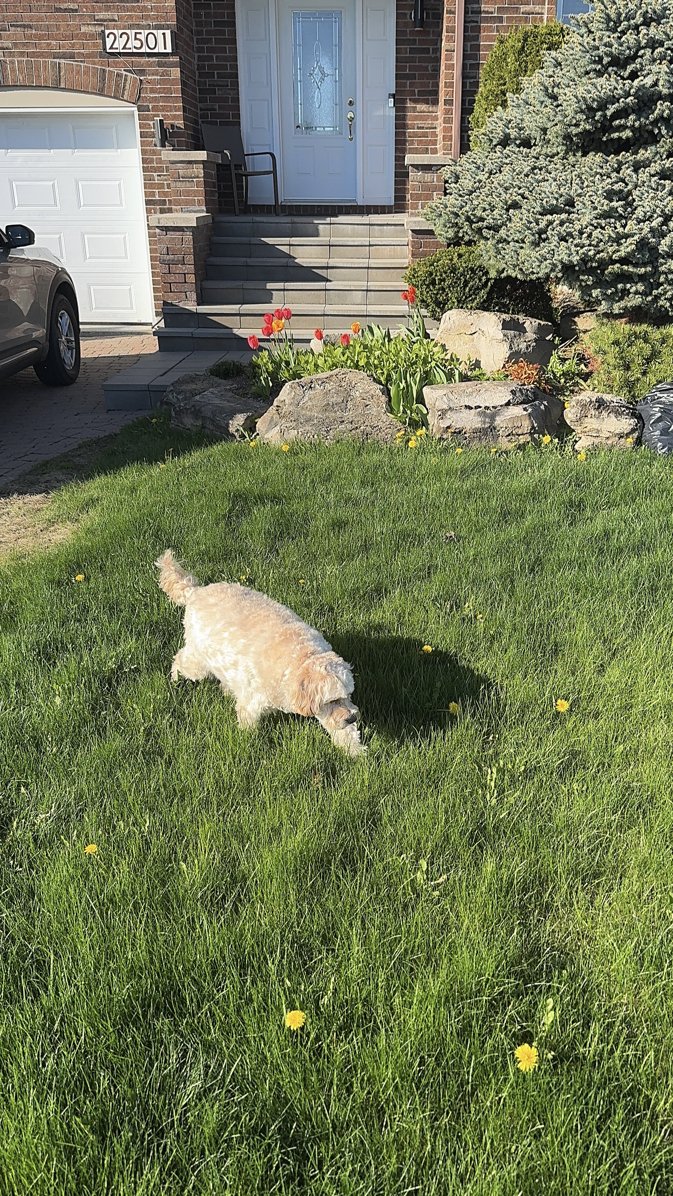 1779064006496 mtbrmt IMG 1052