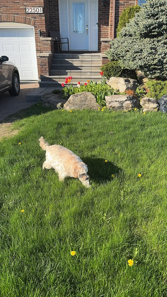 1779064006496 mtbrmt IMG 1052