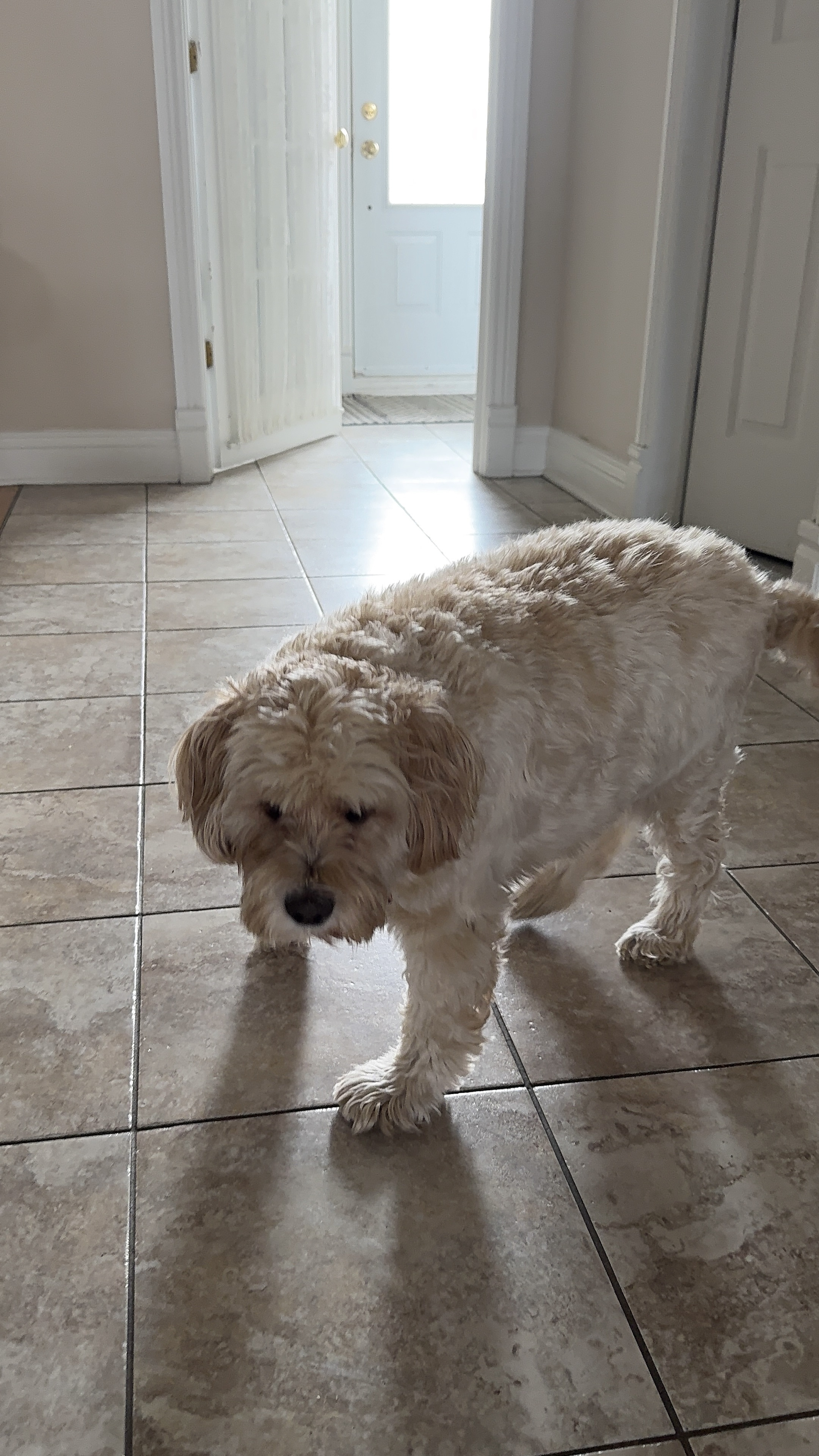 1779064008576 c1a03b IMG 2358 1 