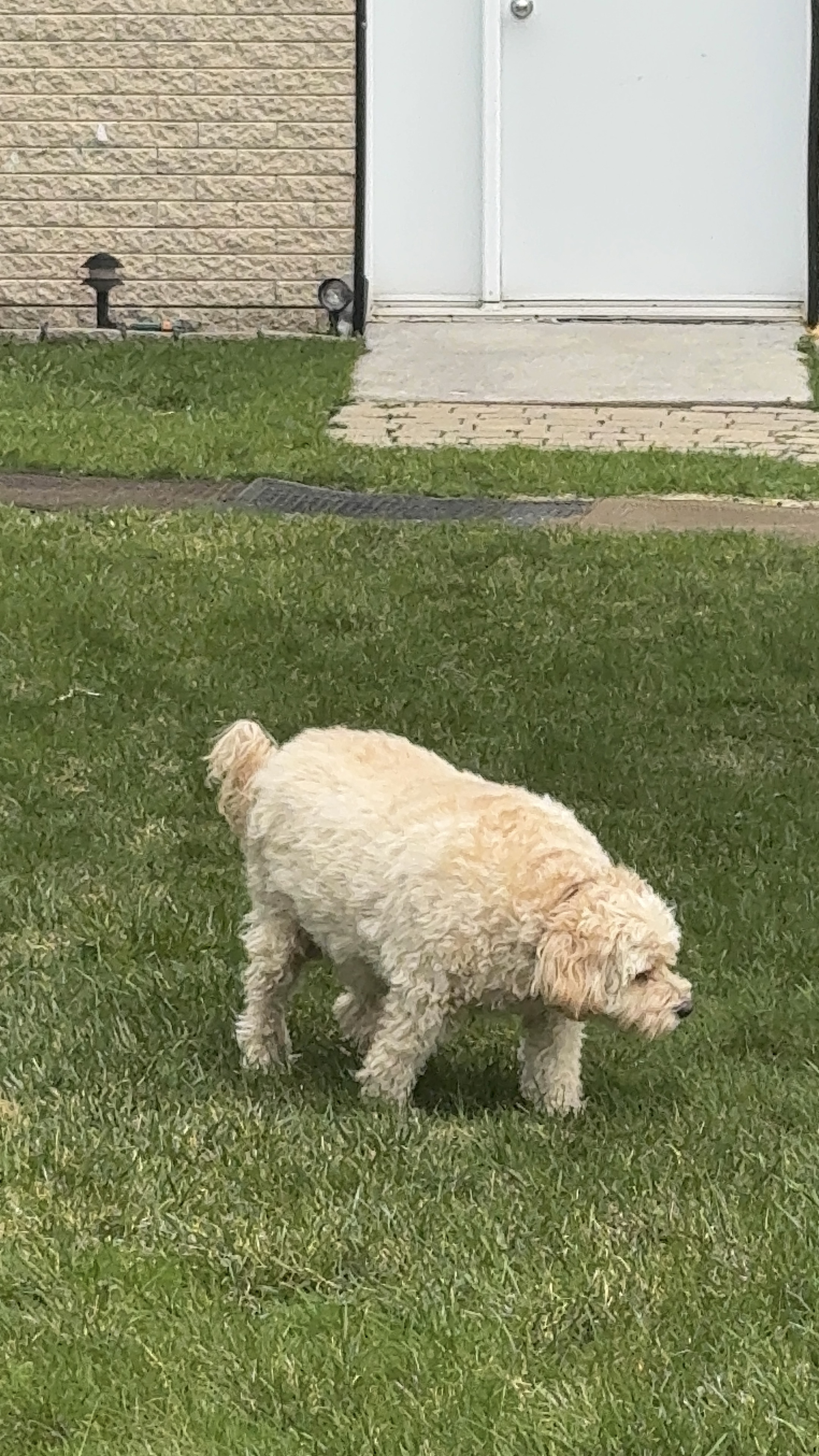 1779064014220 gc7e0g IMG 0687