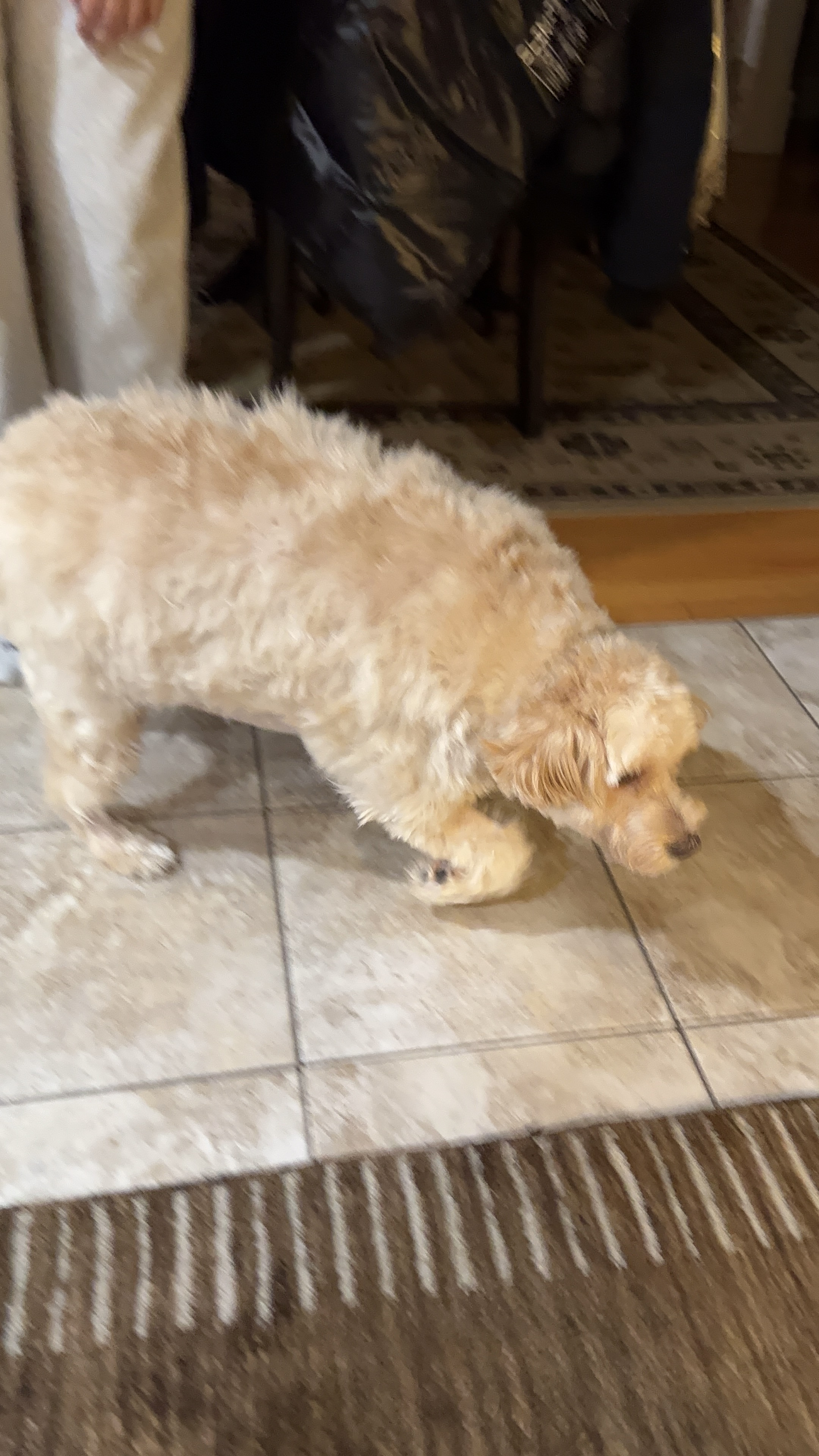 1779064030974 e3d95q IMG 8972 2 