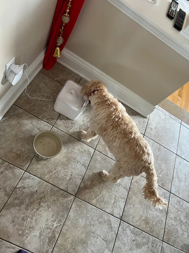 1779064034022 z2udwj IMG 0134