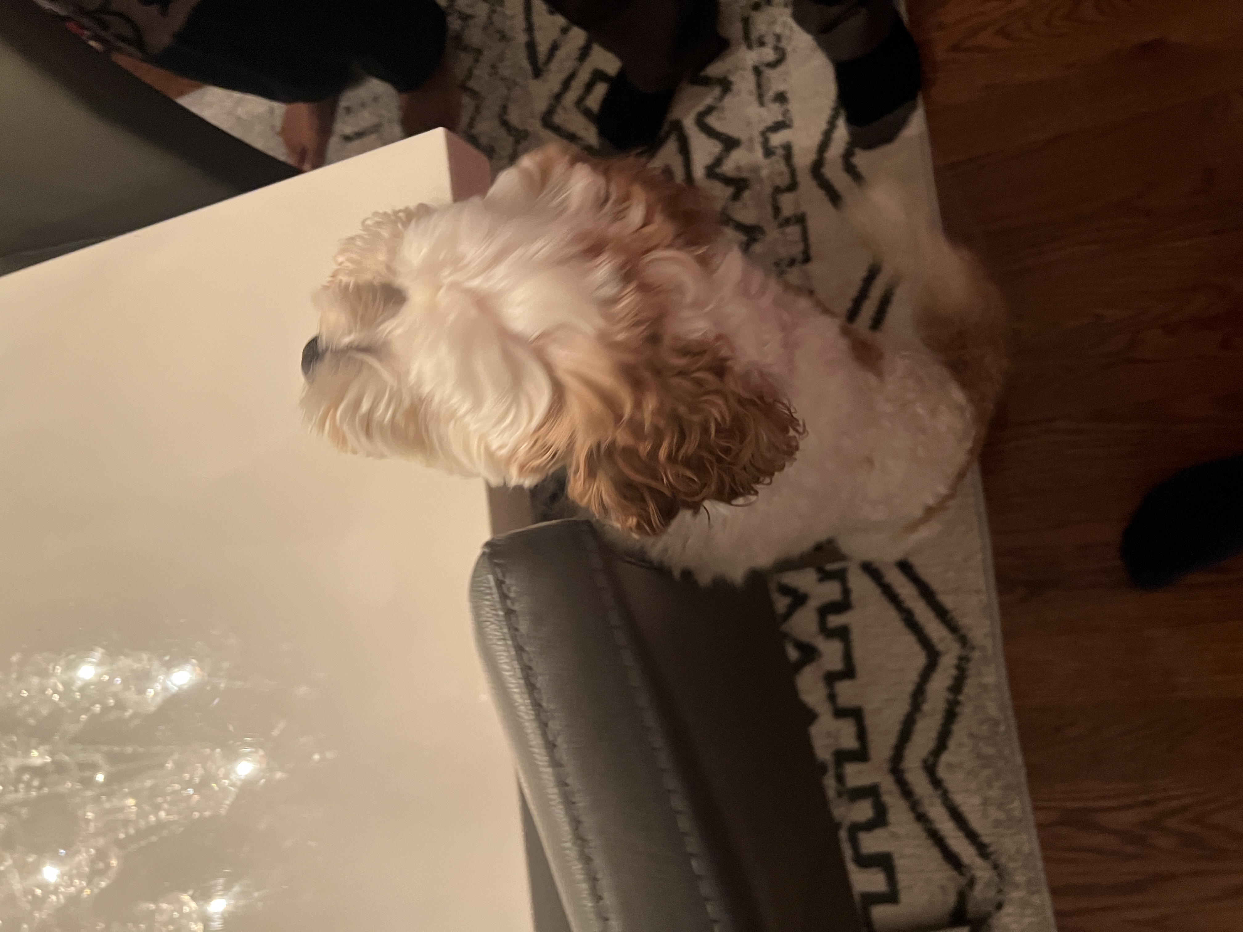 1779064035295 vomhcr IMG 1517