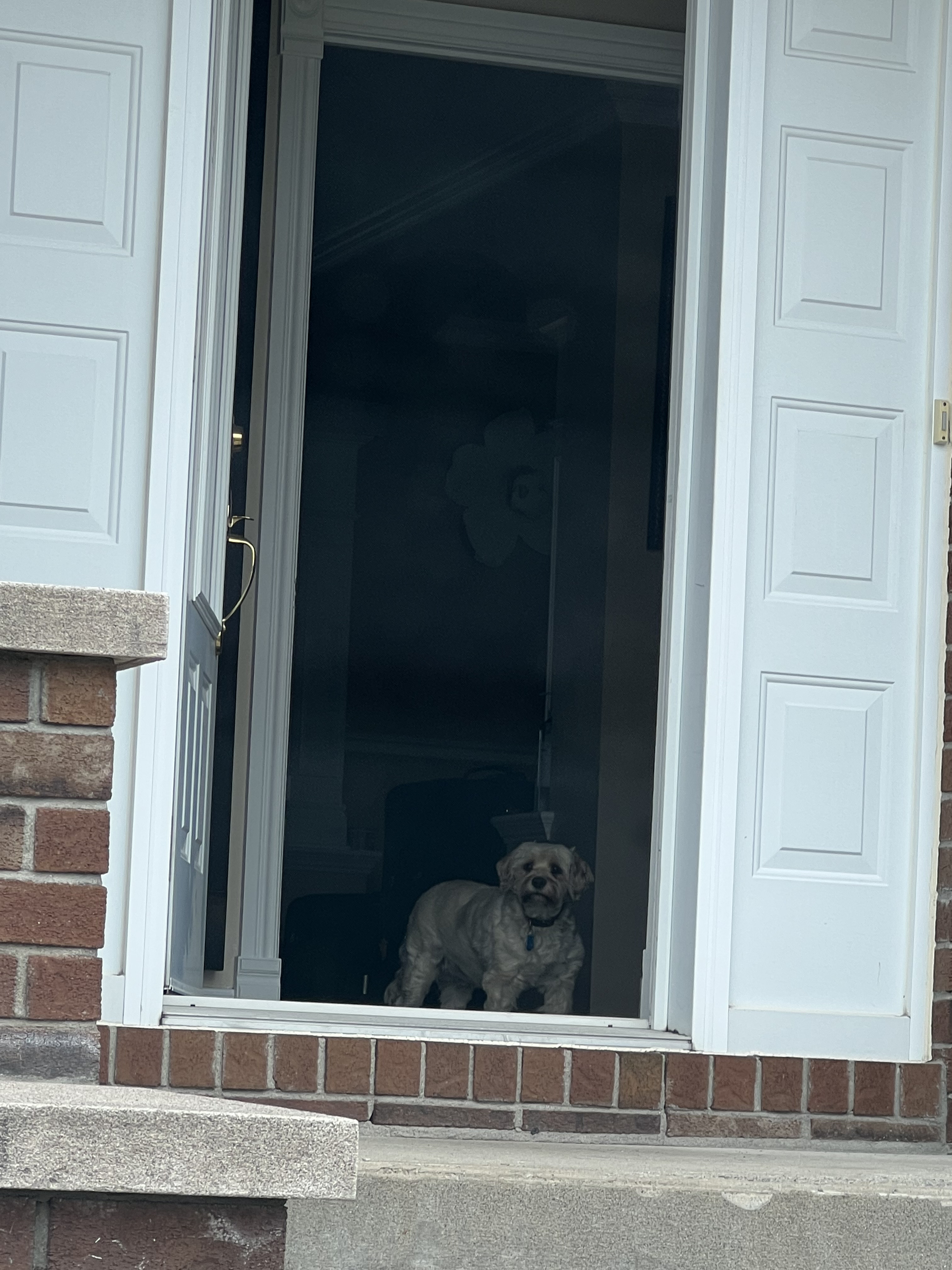 1779064040674 hu30w5 IMG 7734