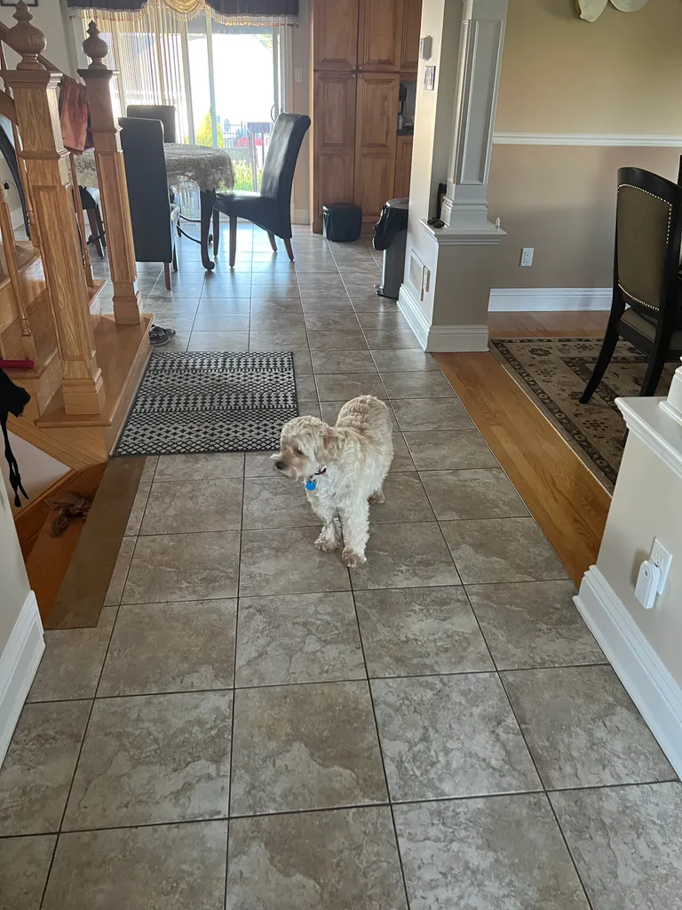 1779064042202 8fp6s9 IMG 0539