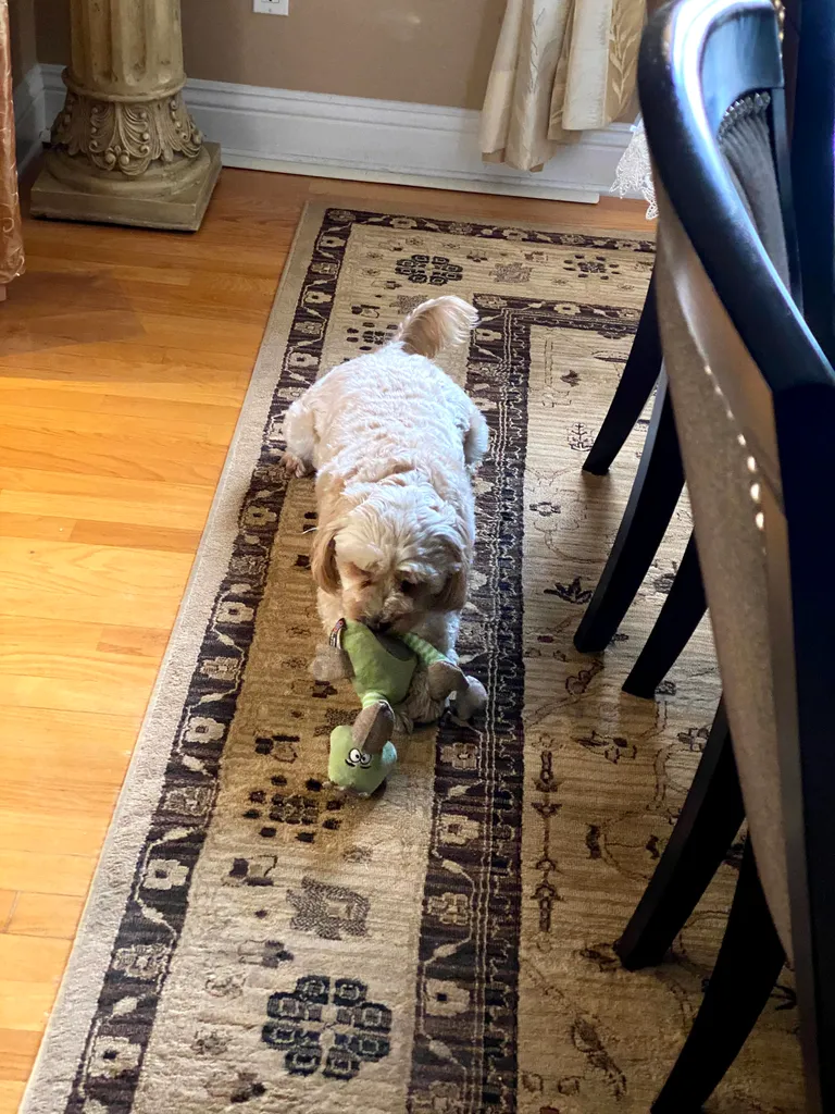 1779064044893 n9nmna IMG 6004