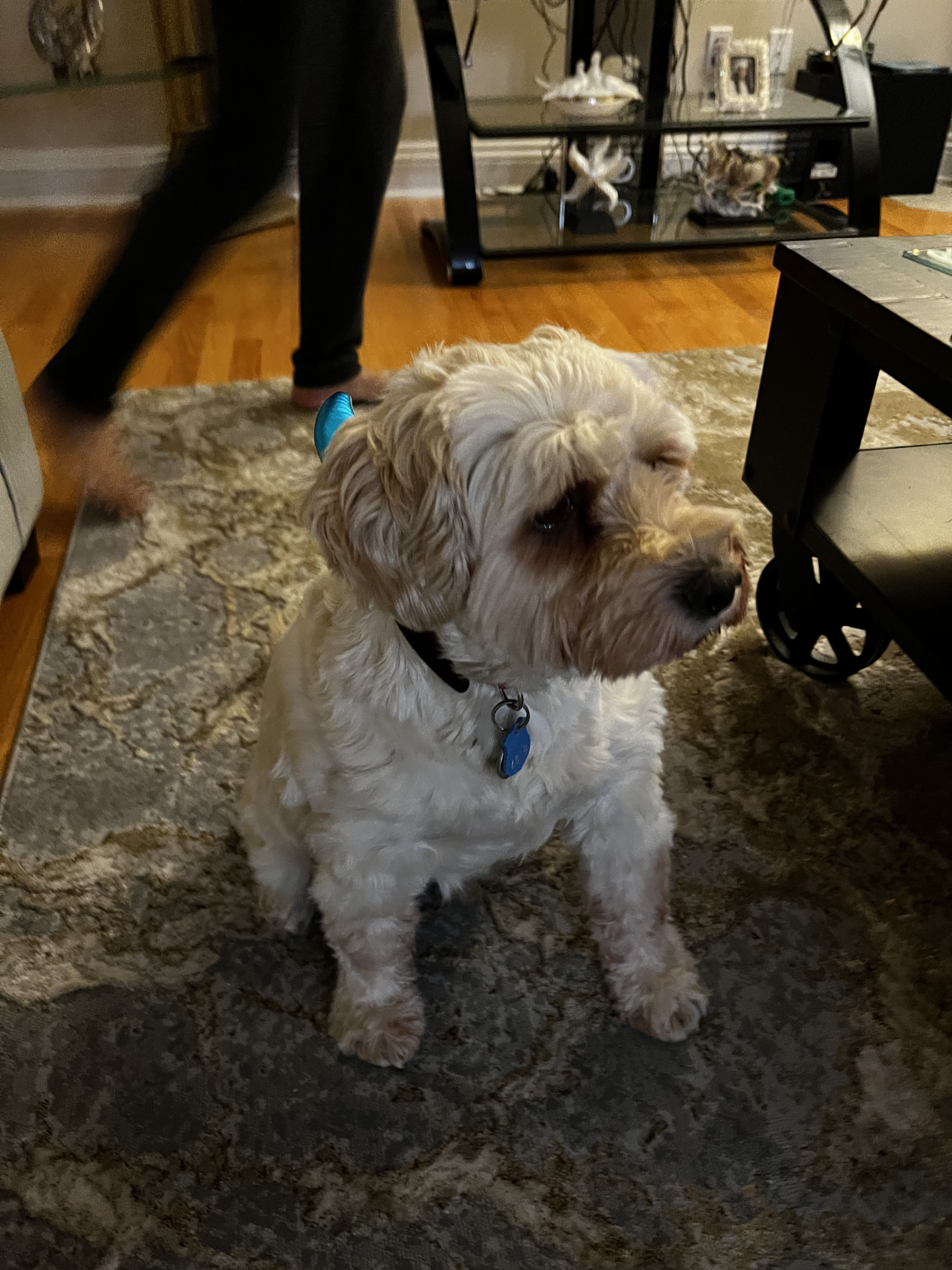 1779064050635 b3574d IMG 0459