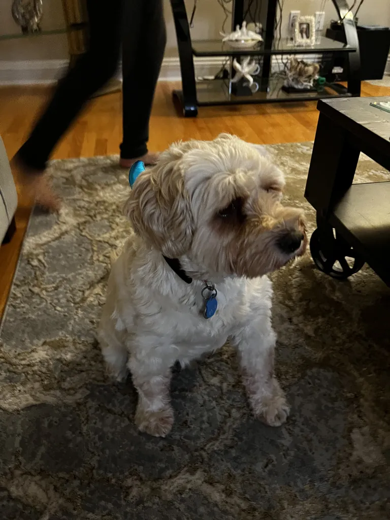 1779064050635 b3574d IMG 0459