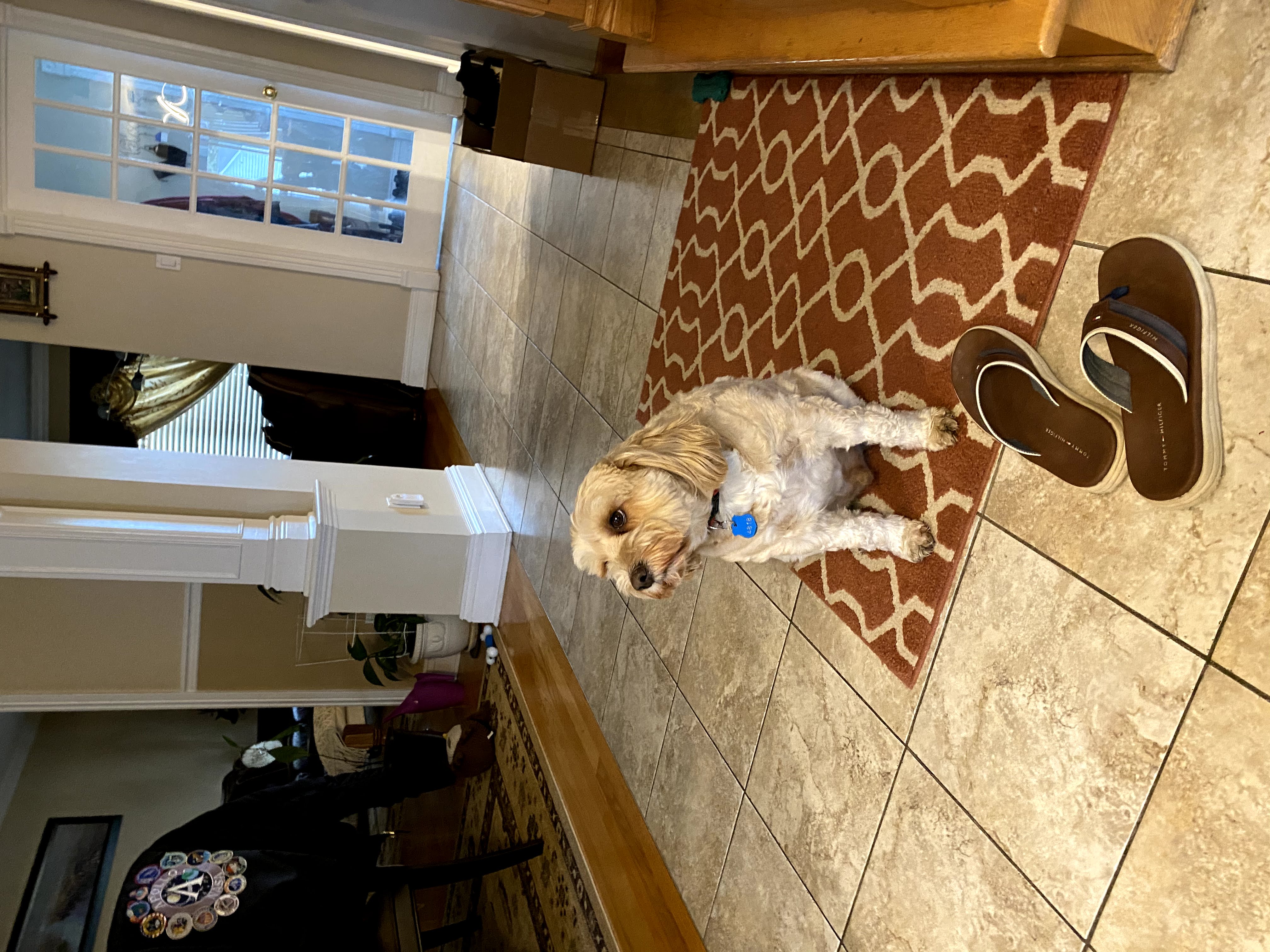 1779064057113 mi9h0t IMG 9401