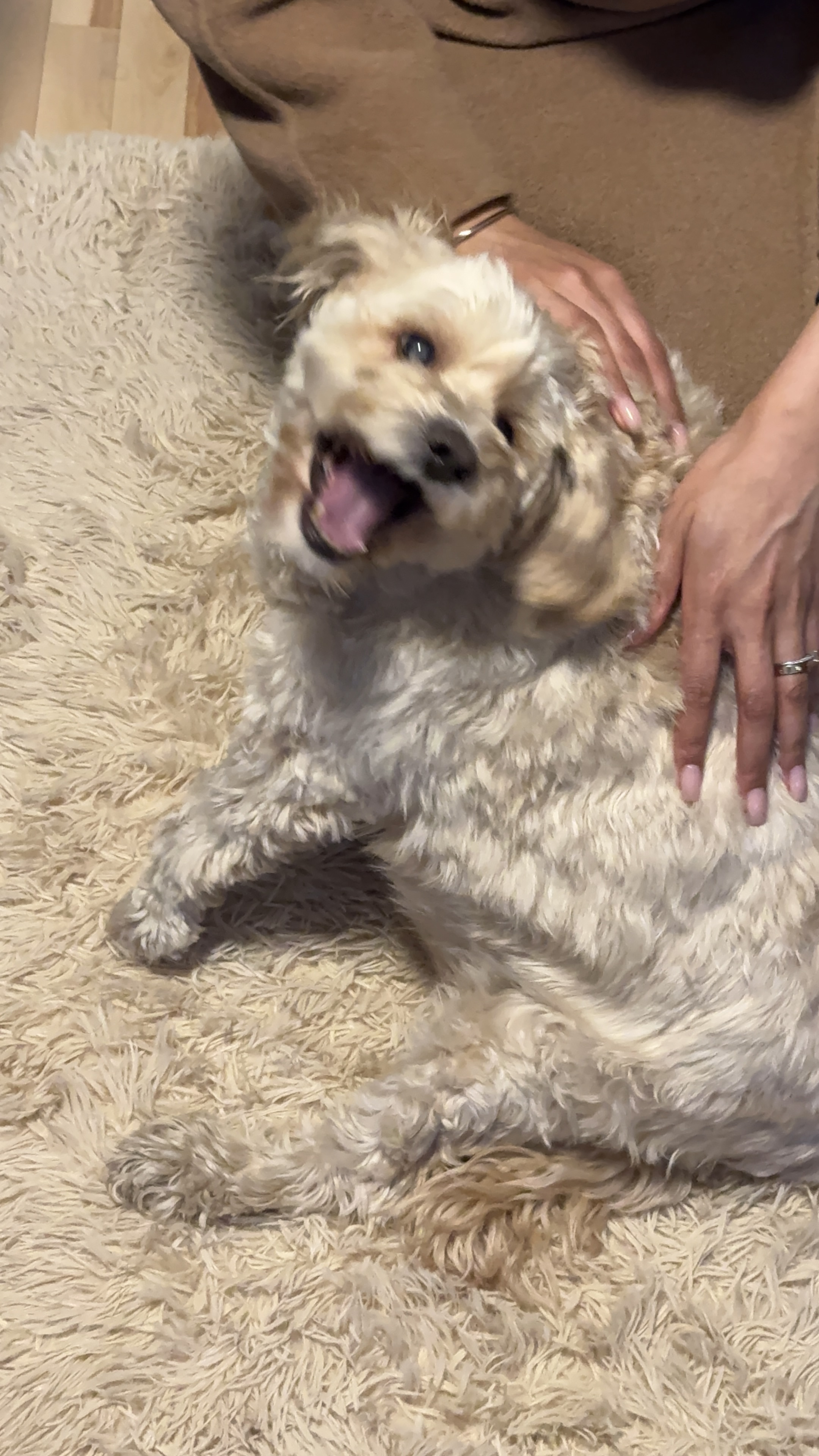 1779064066239 46573k IMG 9604