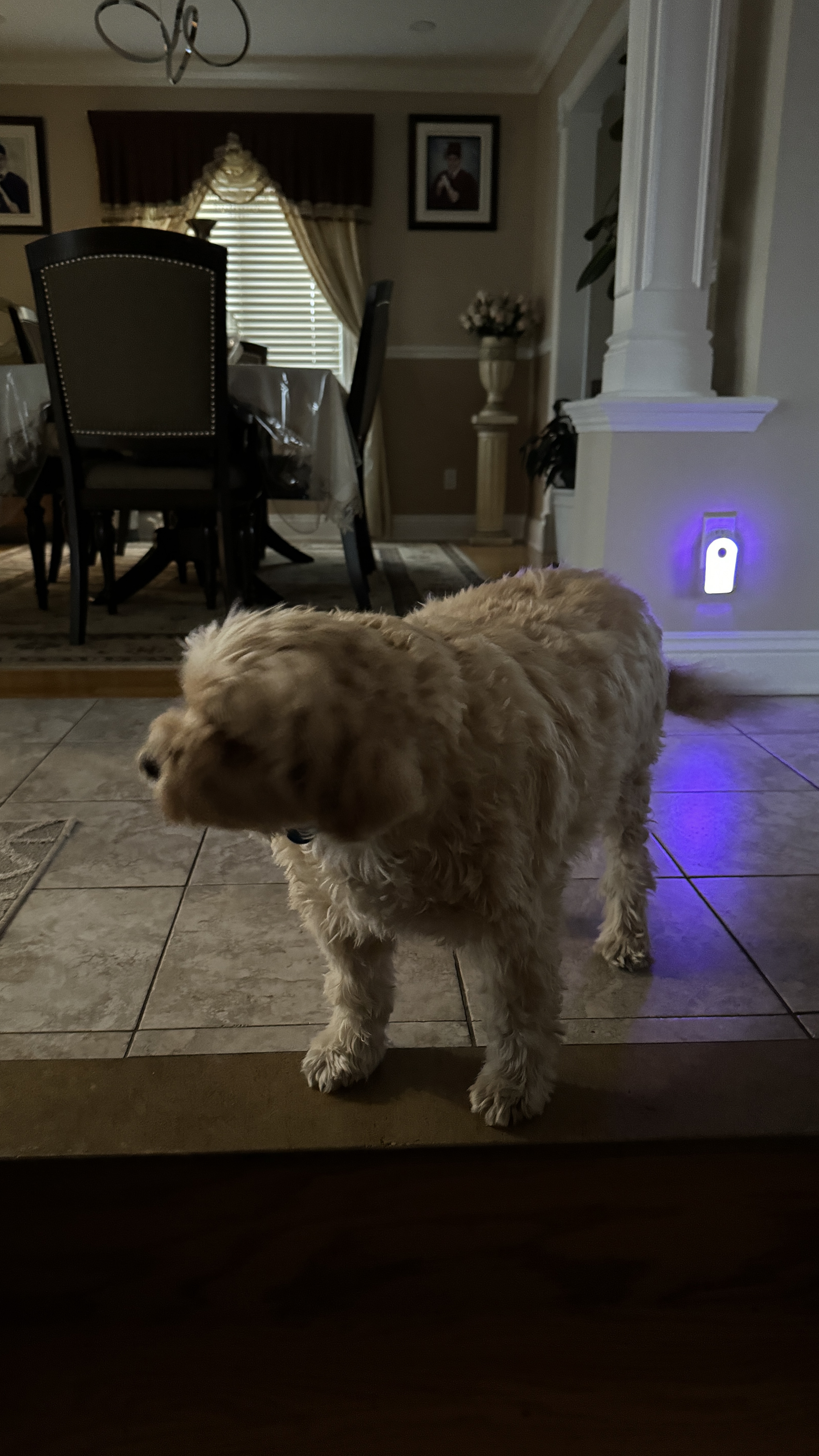 1779064082073 zcoc1q IMG 3983