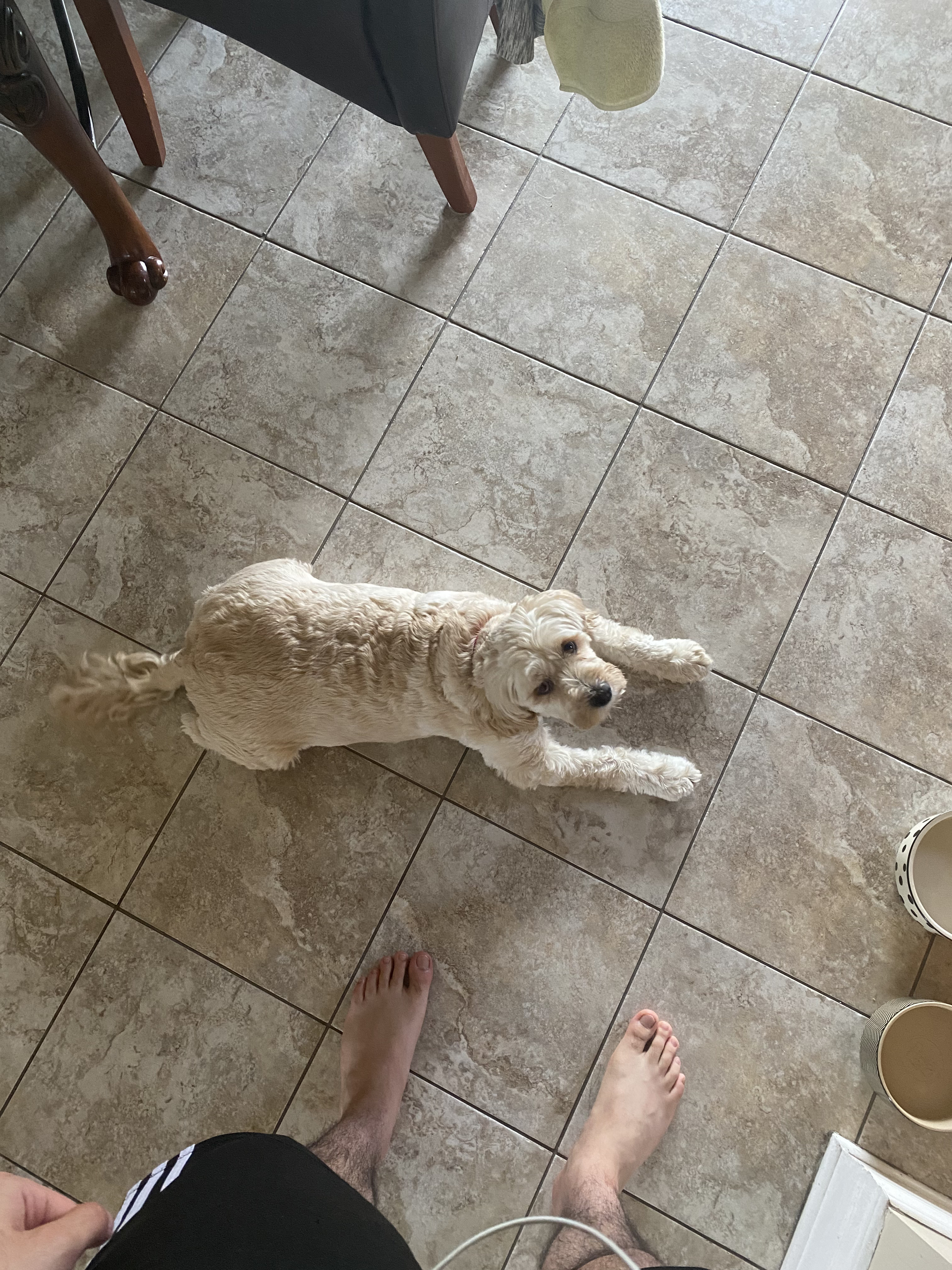 1779064092022 kxi19m IMG 7166