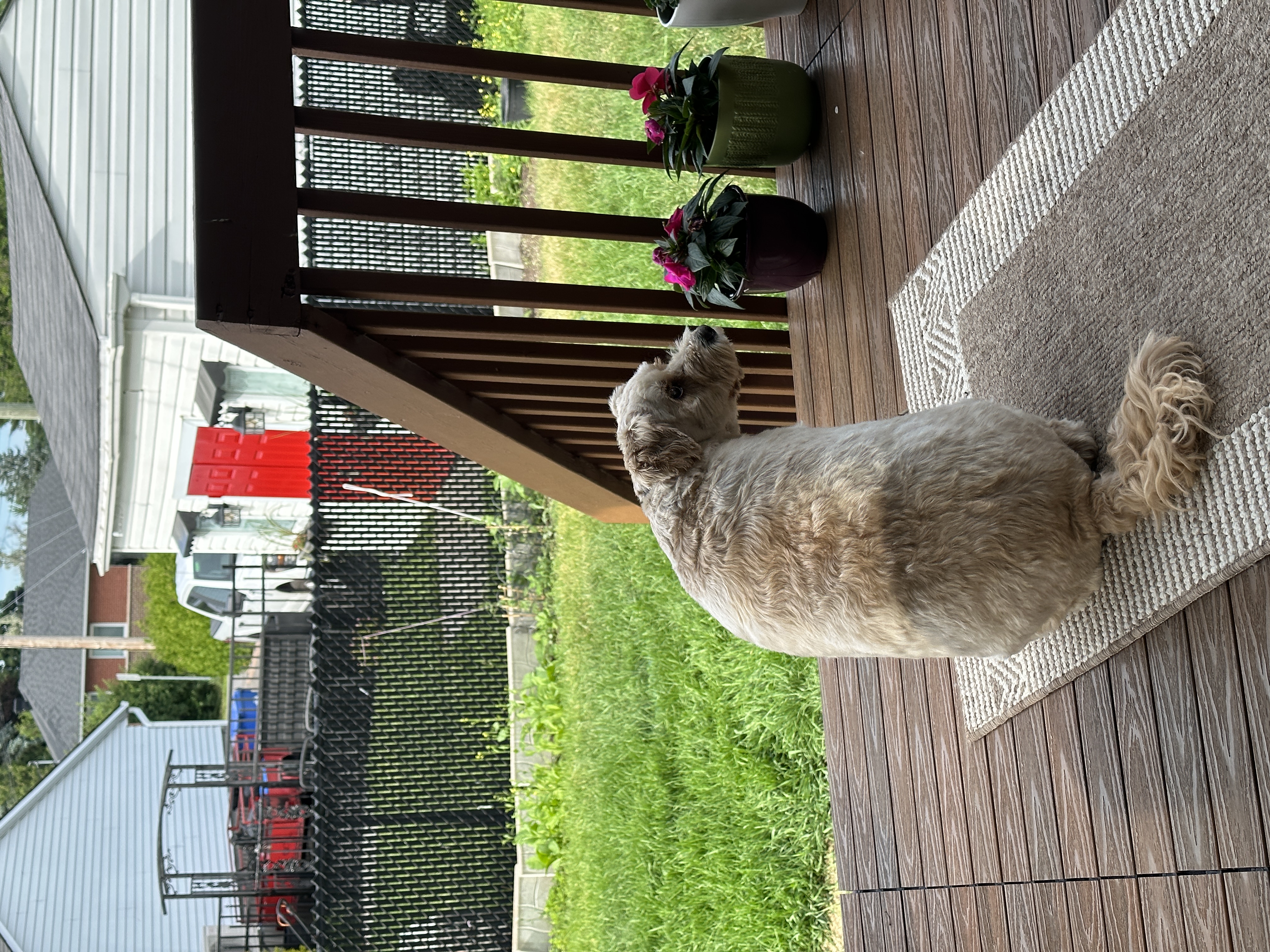 1779064095207 tr74jn IMG 7121