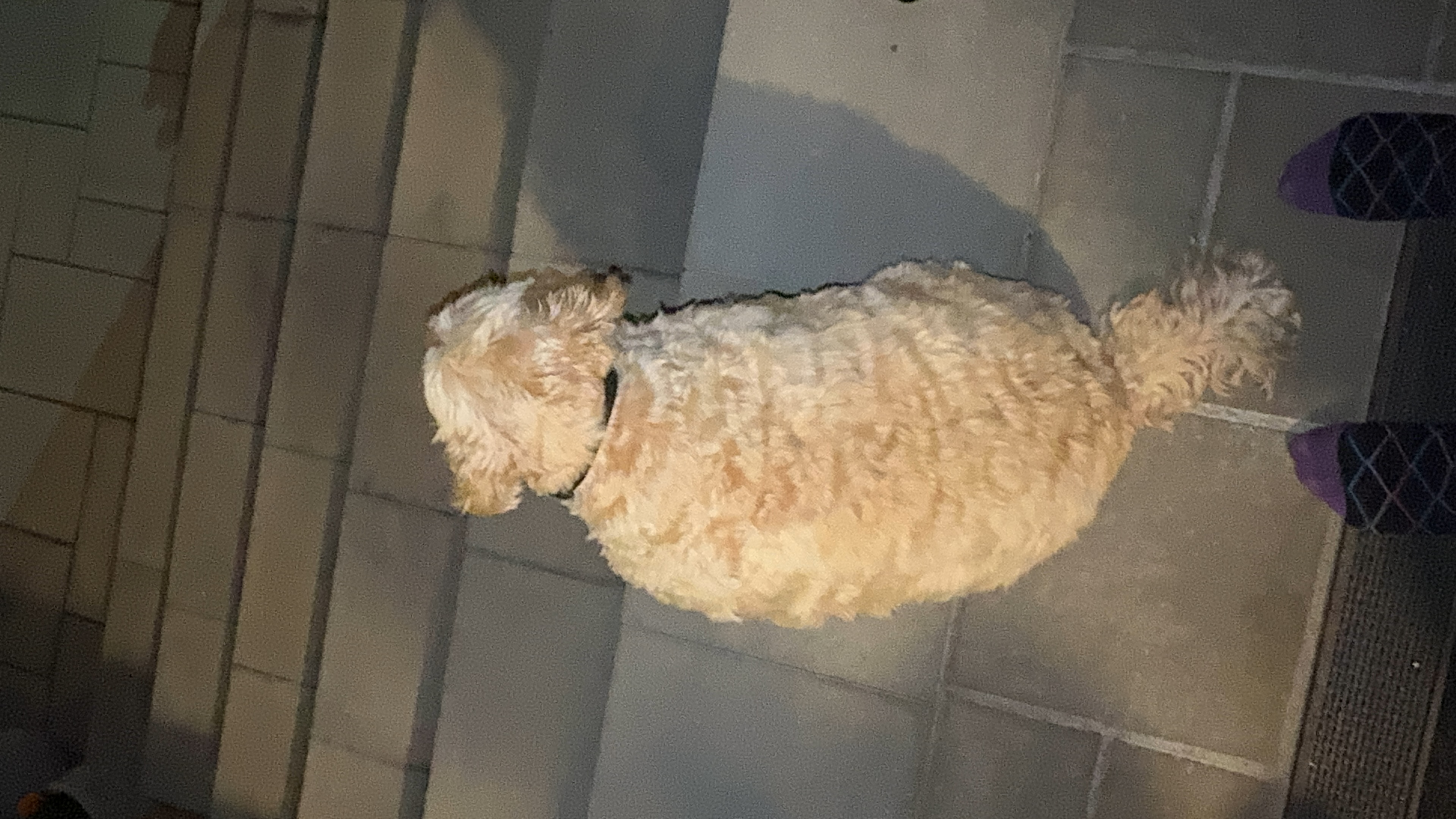 1779064097779 vukpjh IMG 6751 1 