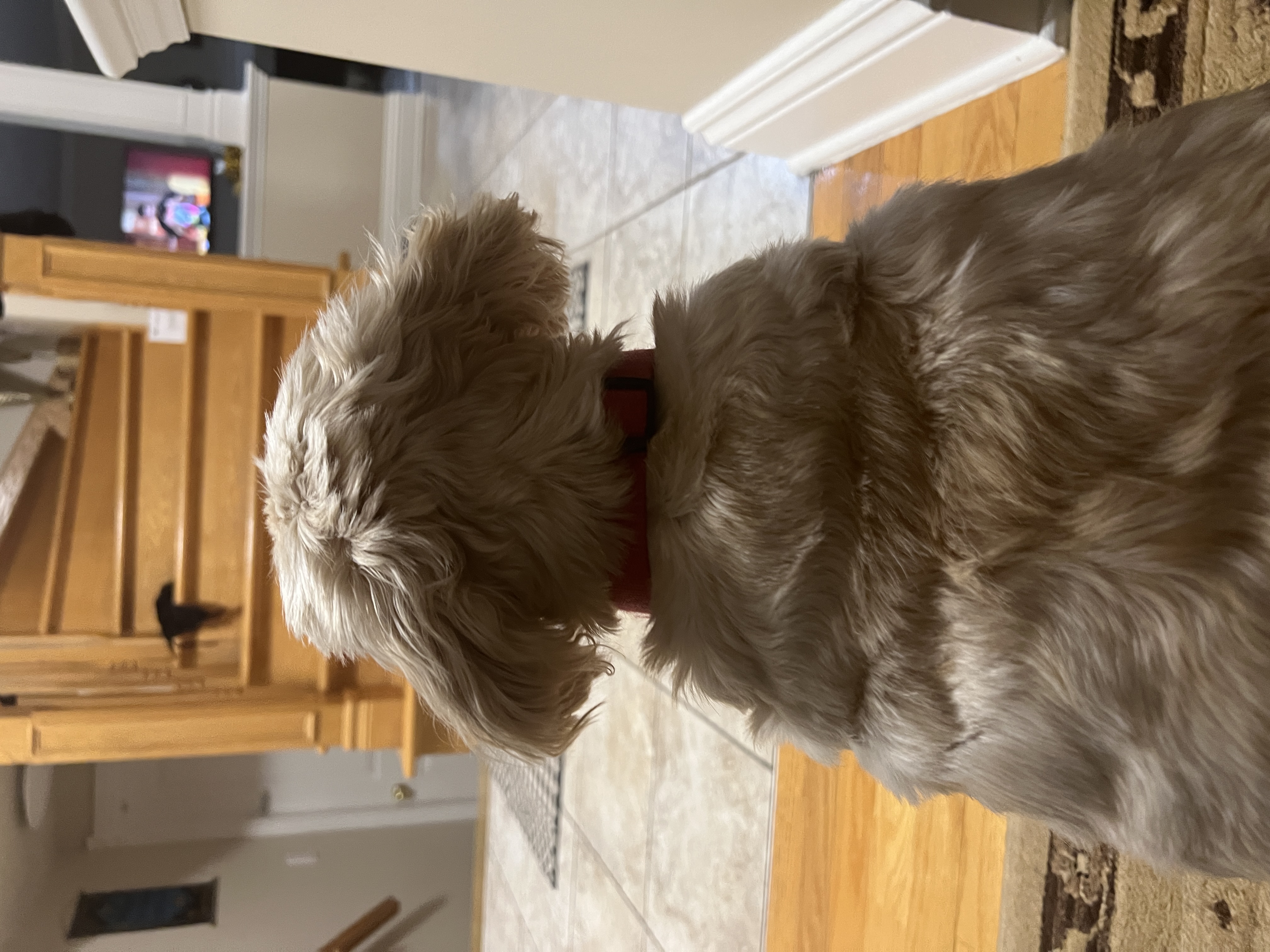 1779064113049 qmnrvx IMG 8992