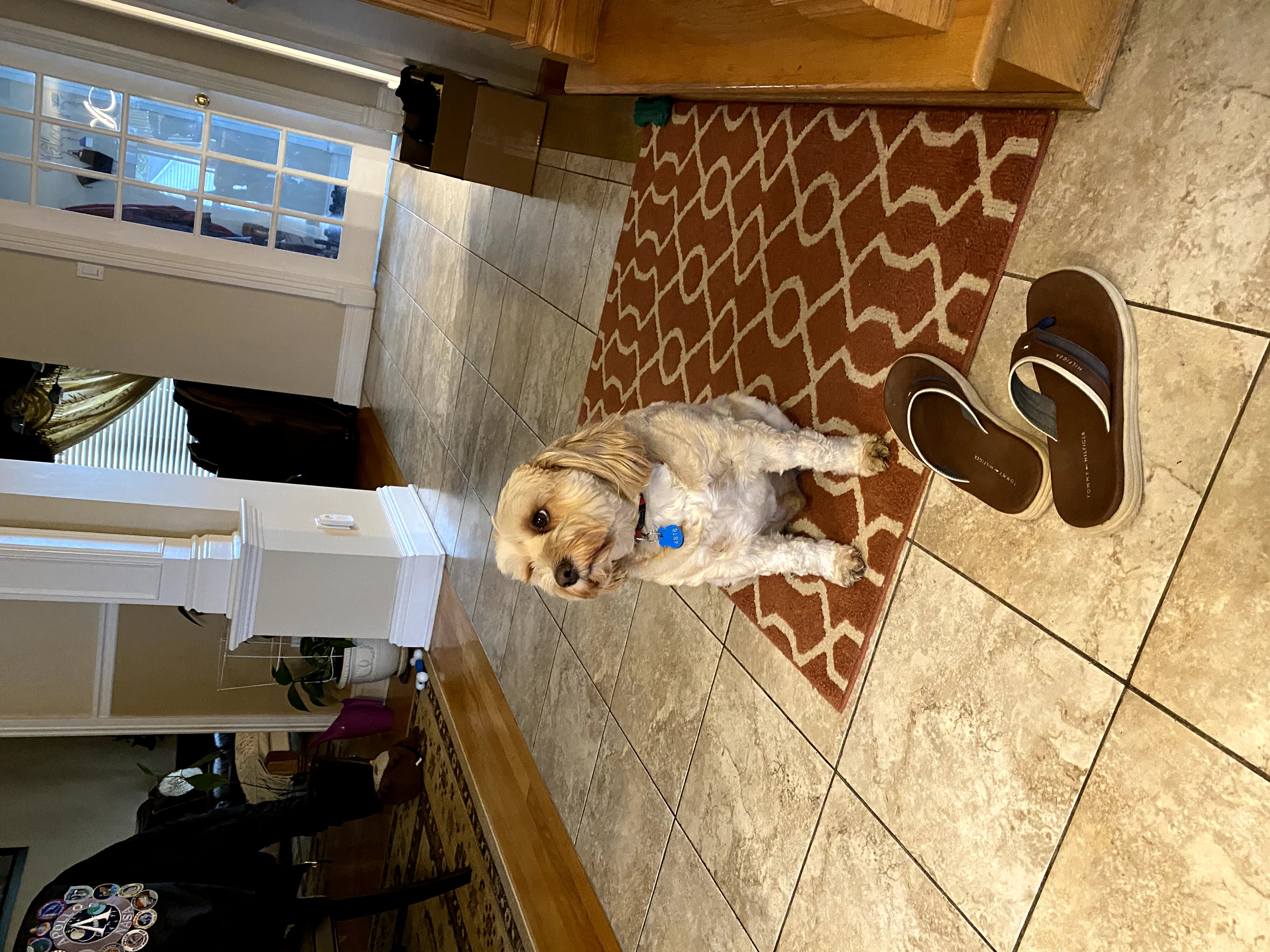 1779064120307 dae000 IMG 9400