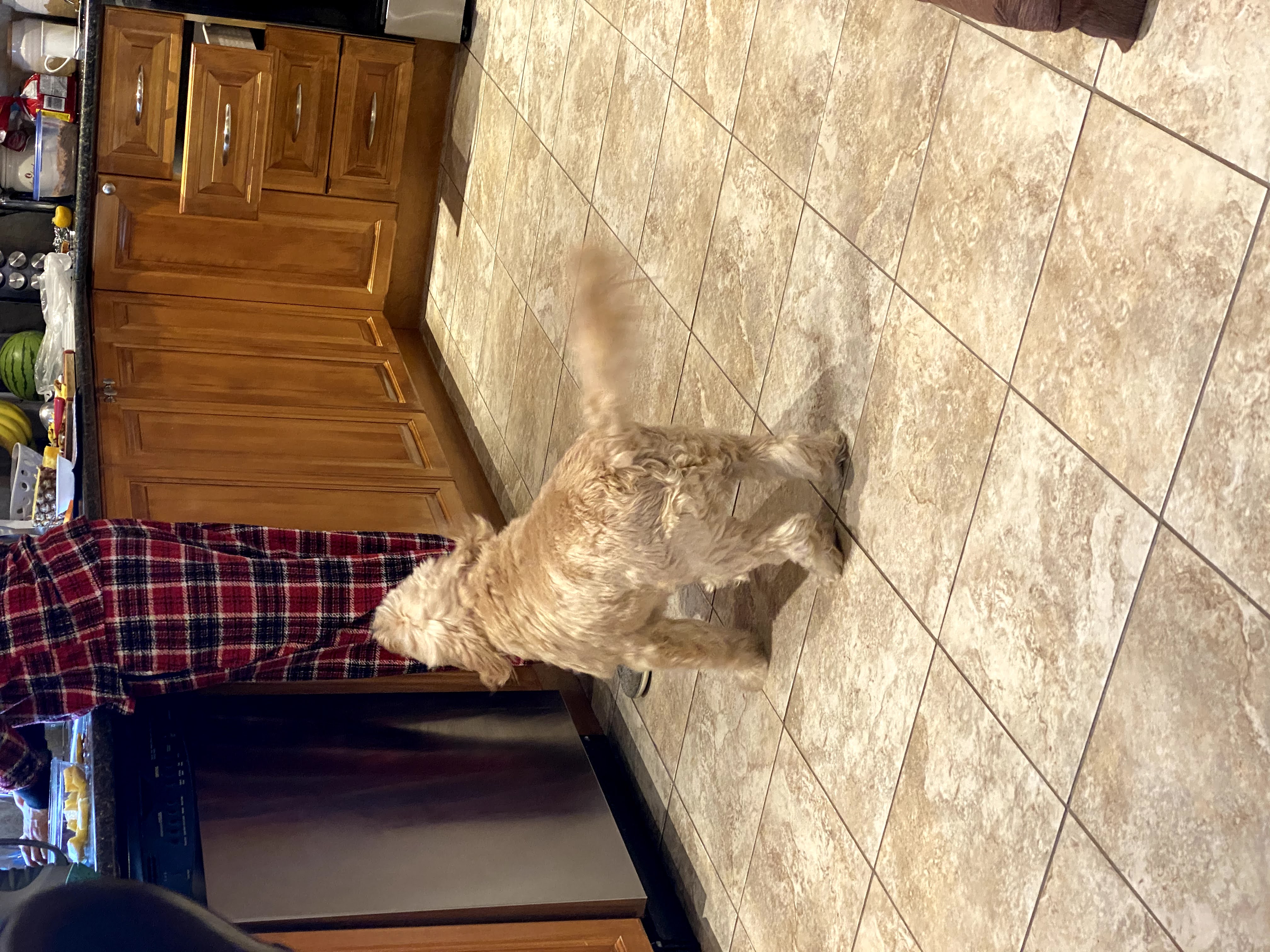 1779064123974 6tvnsc IMG 5732